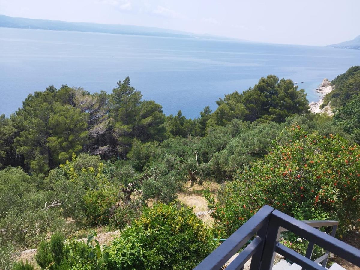 Apartments Mare - 150 M From Beach Brela Luaran gambar
